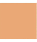 Protetor Solar Com Cor Stick FPS80 Adcos Nude